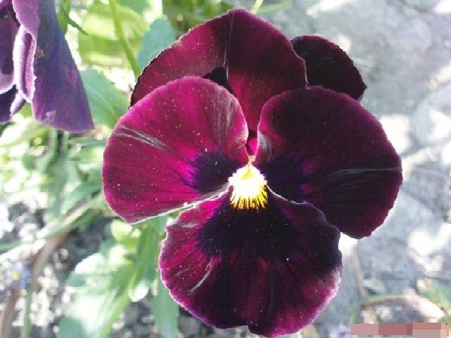 Proszę :))) - marys1964