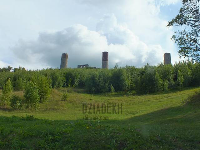 Zamek w Chęcinach - dziadekh