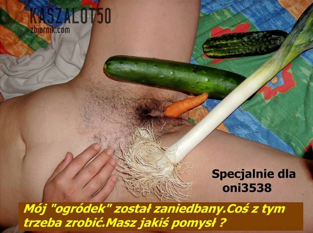 512-111 434dw.jpg - kaszalot50