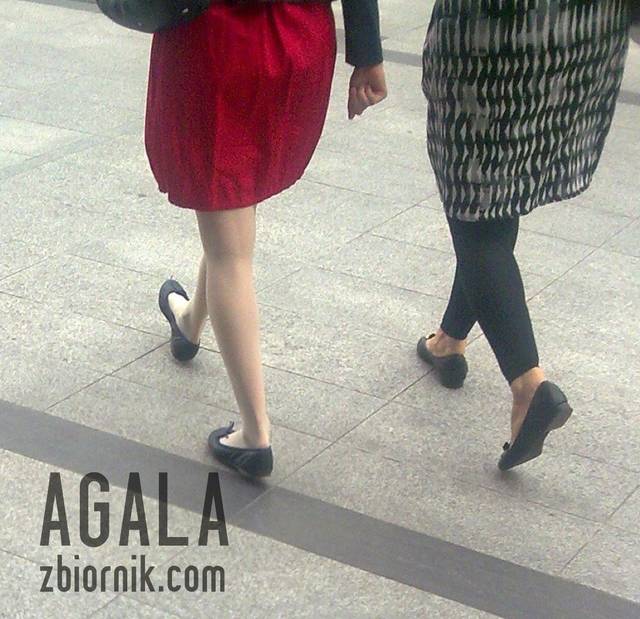 Pal004kol.jpg - AGALA