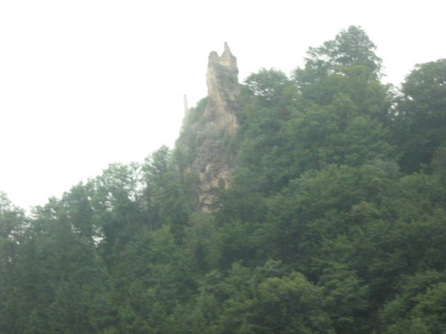 IMG_3130.JPG - 42gucia