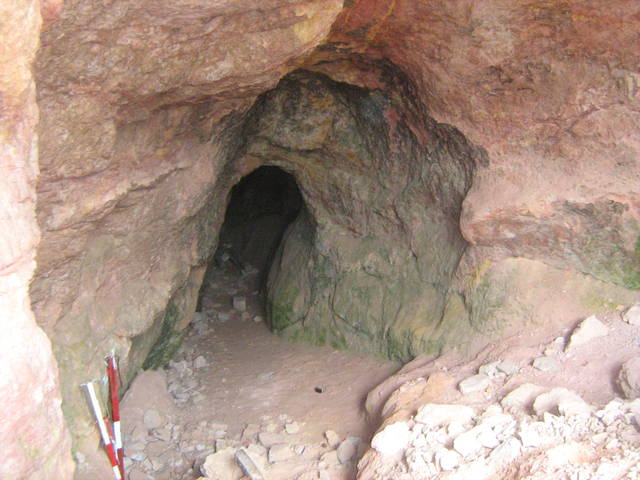 IMG_3162.JPG - 42gucia