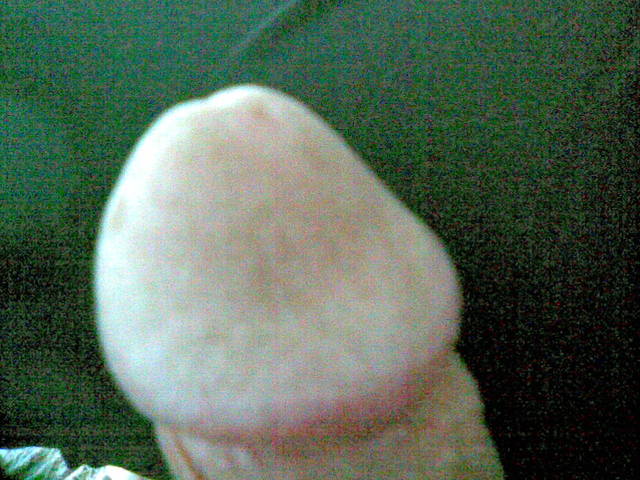 19.jpg - paralublin4