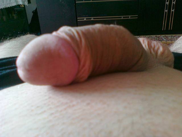 29.jpg - paralublin4