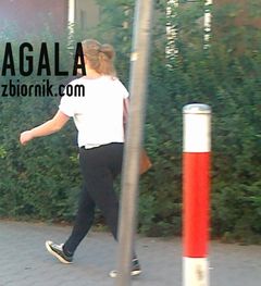 190820121286l.jpg