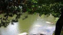 Okolice Bressanone,Brixen