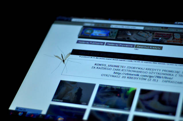 niektórzy tutaj lecą na kredyty jak.... - KONTO_USUNIETE