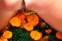 Ale pachnie -:)) chcesz powąchać?