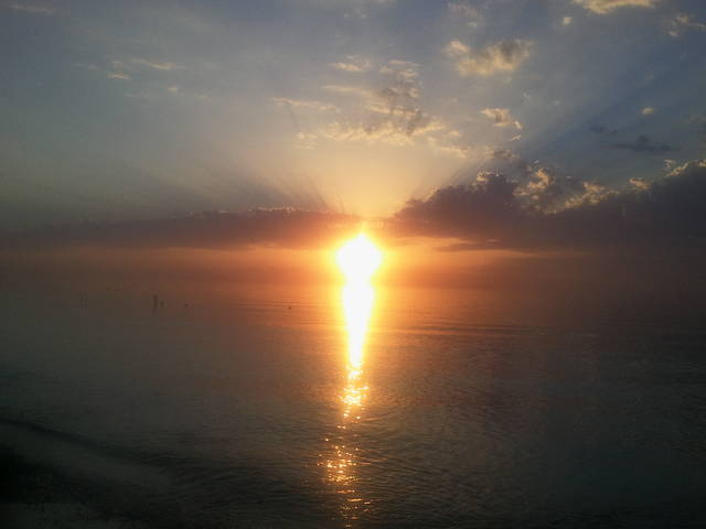 2012-08-19 19.56.14.jpg - psotnik