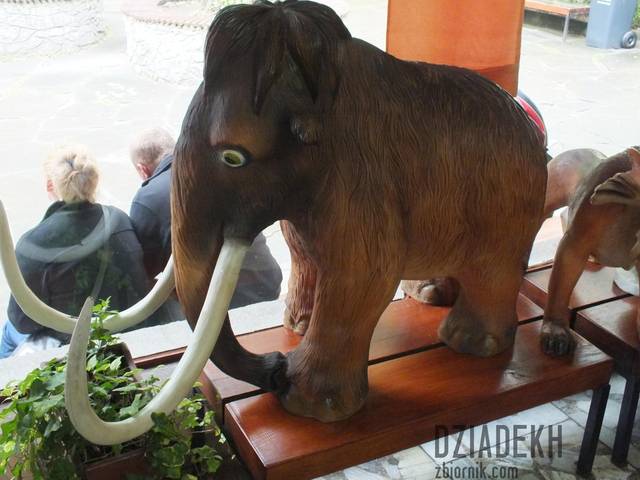 Mamut Maniek - dziadekh