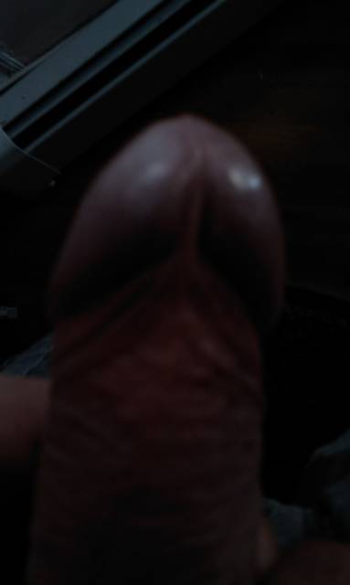 IMAG0830.1.jpg - ny39