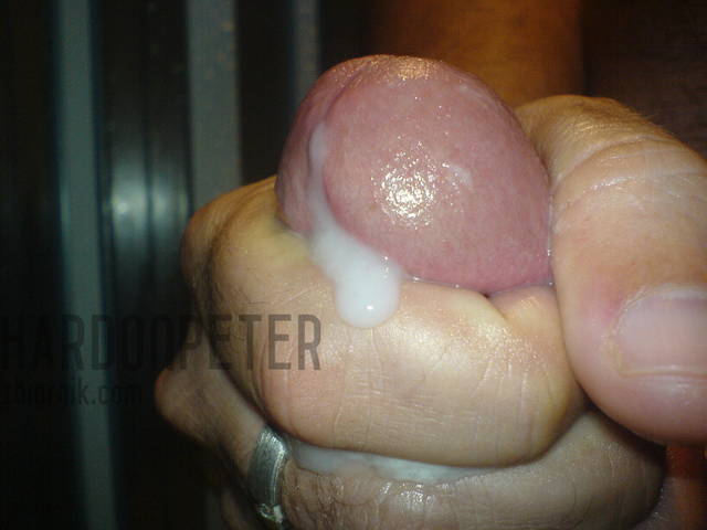 hot week 034.jpg - hardonpeter