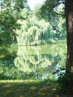 Jeszcze jedno, ale trudno się powstrzymać.