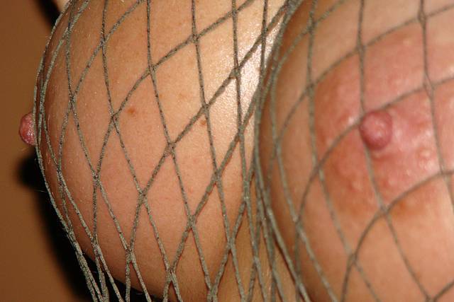 DSC04958.JPG - ampara76