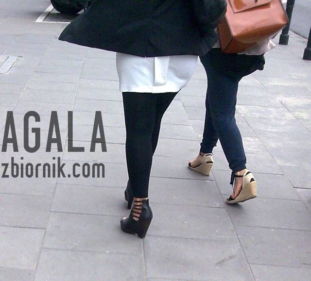 Mxe000Leg.jpg - AGALA