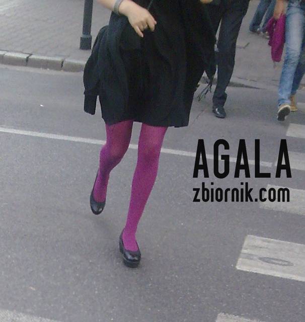 Damek03kol.jpg - AGALA