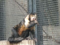 O rany! Co ja pacze!!?