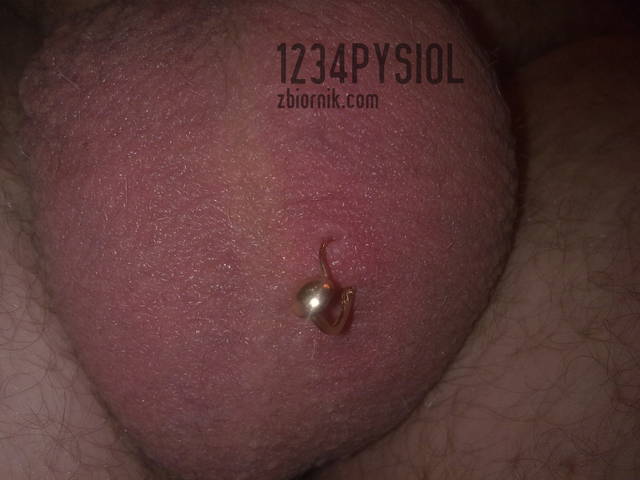 1234pysiol