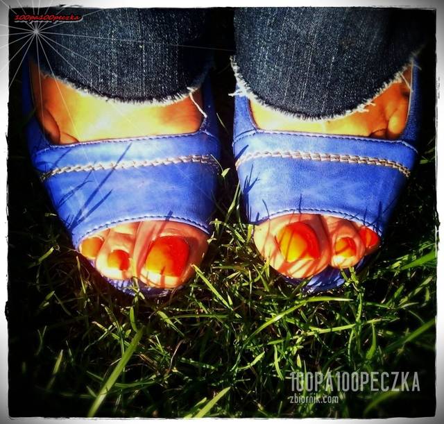 Niebieskie II 42 - 100pa100peczka