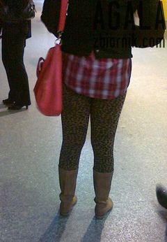 240920121441L.jpg