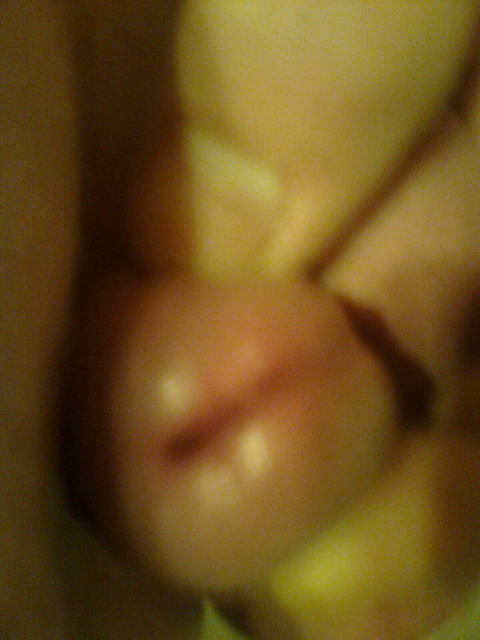 Zdjęcie0225.jpg - robercu