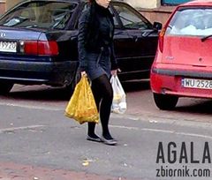 Ipn000cz.jpg