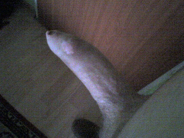 DSC00038.JPG - NAMIETNYMINECIARZ28