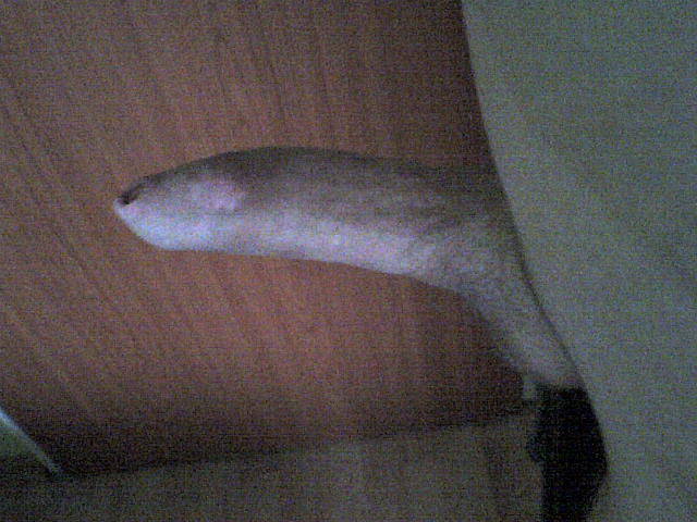 DSC00039.JPG - NAMIETNYMINECIARZ28