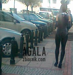041020121510v.jpg