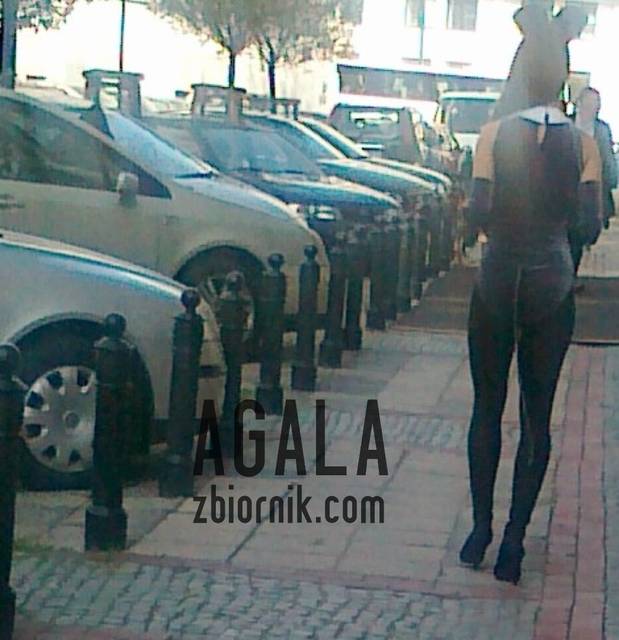 041020121510v.jpg - AGALA