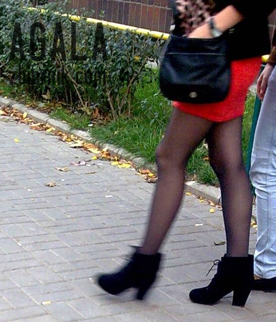 Matj002cz.jpg - AGALA