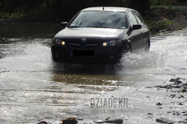 W drodze do Duszatynia - dziadekh