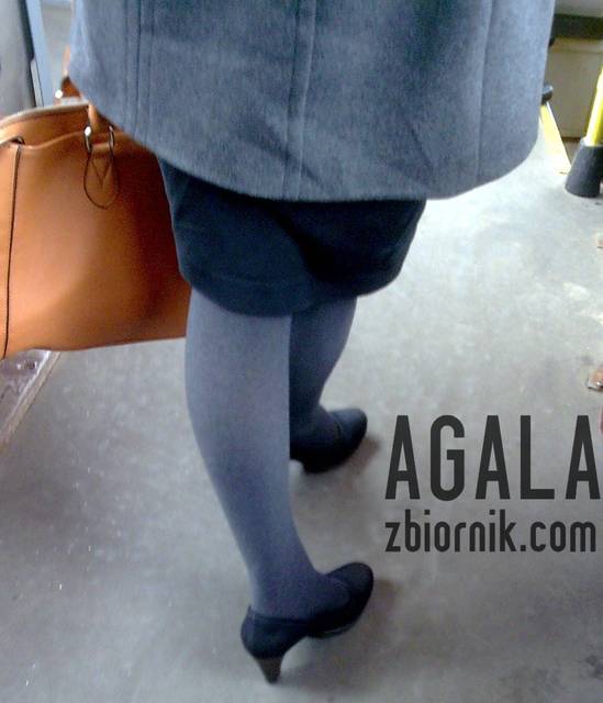 Cmta004v.jpg - AGALA
