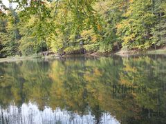 Jeziorko w barwach jesieni