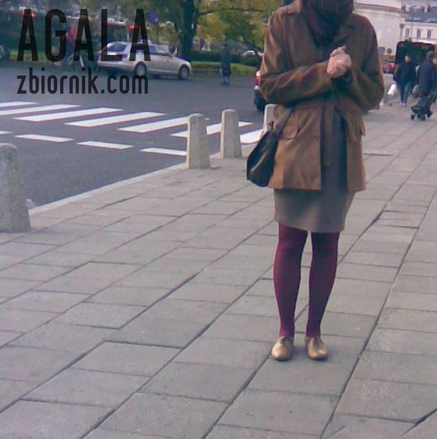 Zdjęcie034kol.jpg - AGALA