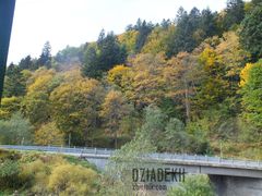 Jeszcze jeden jesienny widoczek