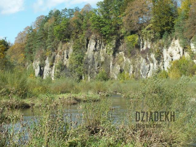 Skałki nad Sanem - dziadekh