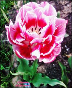 ....do zobaczenia Kochani....;)