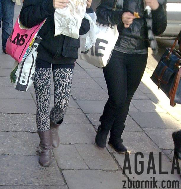 Cge002L.jpg - AGALA