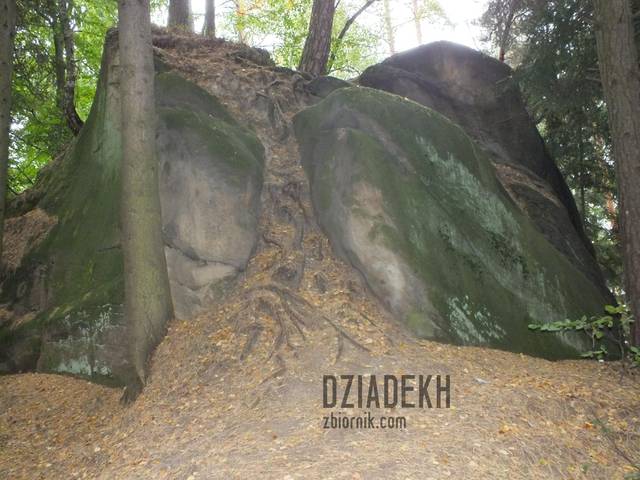 Prządka - dziadekh