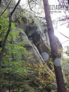 Może ktoś ma ochotę na wspinaczkę?