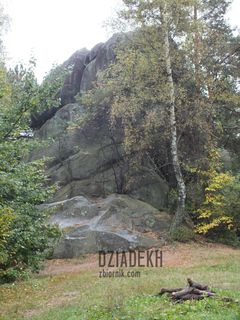 Docieramy w końcu do największych Prządek