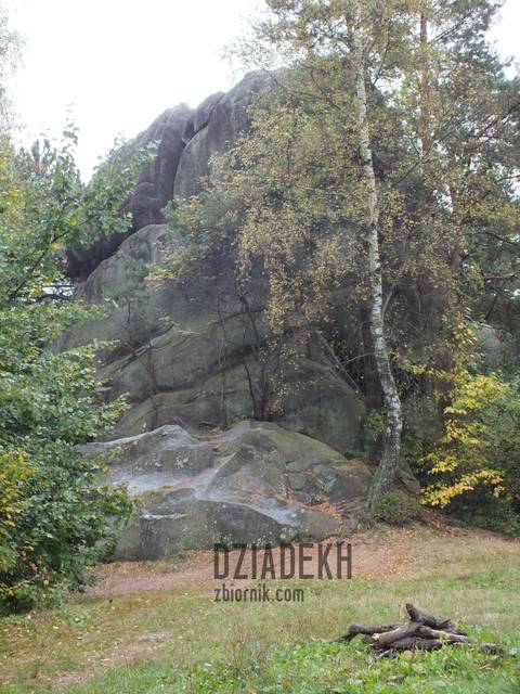 Docieramy w końcu do największych Prządek - dziadekh