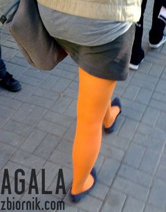 Staga013kol.jpg