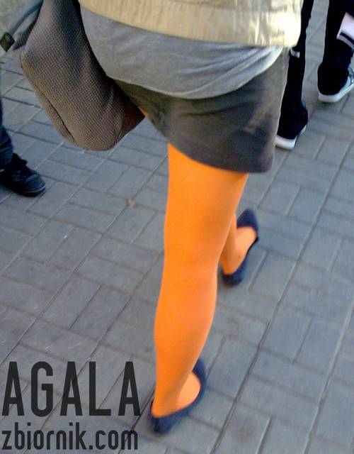 Staga013kol.jpg - AGALA