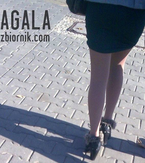 Traw034kol.jpg - AGALA