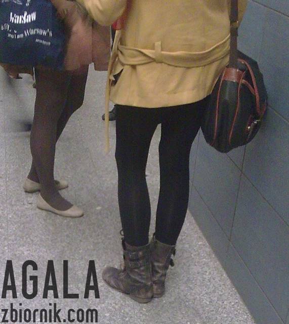 Pjme107v.jpg - AGALA