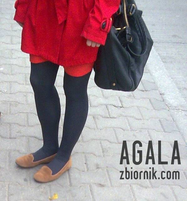Pjme061v.jpg - AGALA