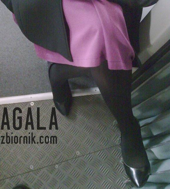 Pjm062cz.jpg - AGALA