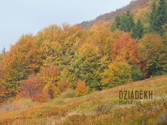Jeszcze jeden przykład orgii kolorów